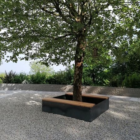 Ferienwohnung Schuhmann Mit Wintergarten Und Garten Therme Aquapulco Und Ikuna Erlebnispark, Zoo Schmiding 20 Min Mit Auto Entfernt Ab 3 Naechte Buchbar Hinzenbach Bagian luar foto