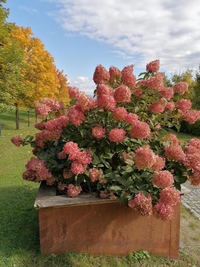 Ferienwohnung Schuhmann Mit Wintergarten Und Garten Therme Aquapulco Und Ikuna Erlebnispark, Zoo Schmiding 20 Min Mit Auto Entfernt Ab 3 Naechte Buchbar Hinzenbach Bagian luar foto