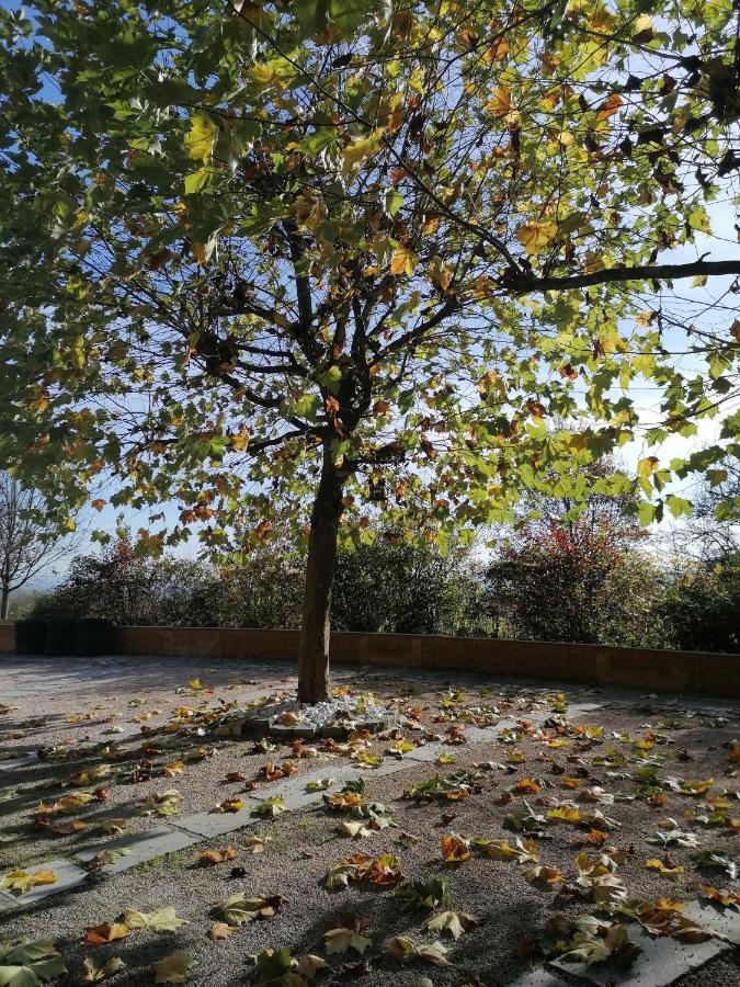 Ferienwohnung Schuhmann Mit Wintergarten Und Garten Therme Aquapulco Und Ikuna Erlebnispark, Zoo Schmiding 20 Min Mit Auto Entfernt Ab 3 Naechte Buchbar Hinzenbach Bagian luar foto