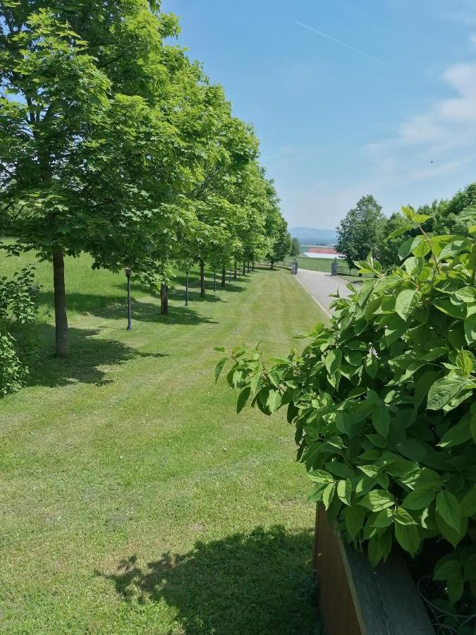 Ferienwohnung Schuhmann Mit Wintergarten Und Garten Therme Aquapulco Und Ikuna Erlebnispark, Zoo Schmiding 20 Min Mit Auto Entfernt Ab 3 Naechte Buchbar Hinzenbach Bagian luar foto